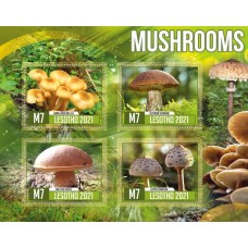 Flora mushrooms